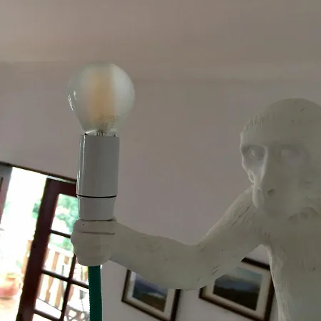 Elemental Couette-café *