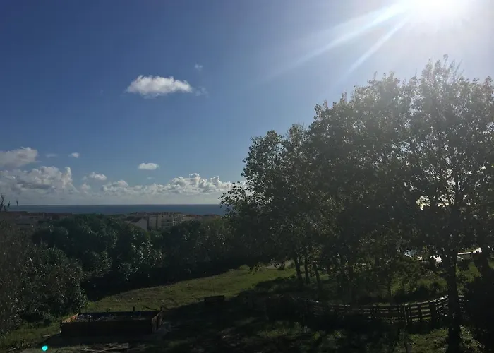 Bed and Breakfast Elemental