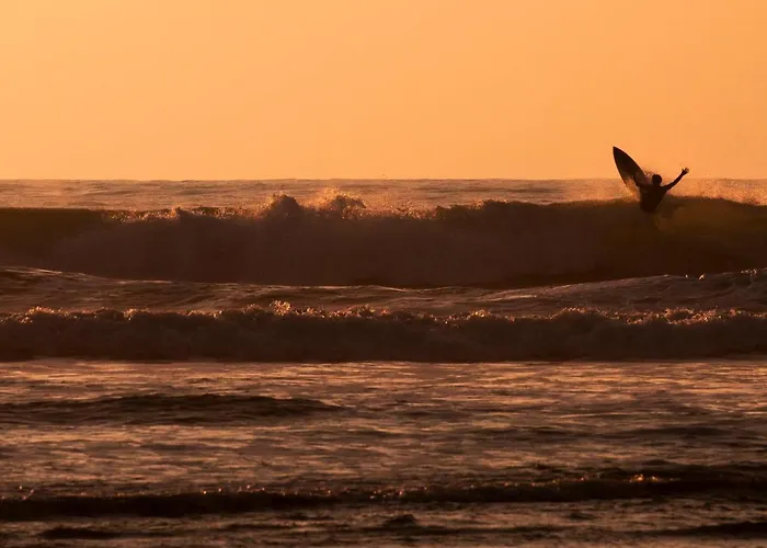 Elemental Bed and Breakfast *