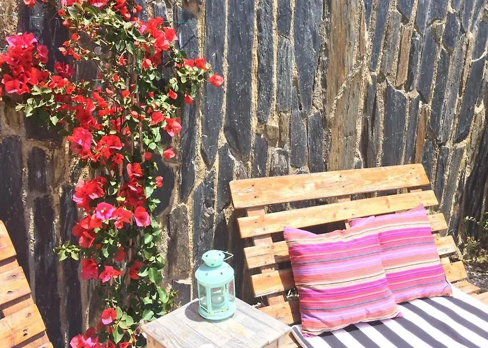 Elemental Bed and Breakfast *