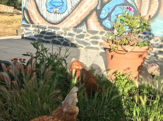 Elemental Bed and Breakfast