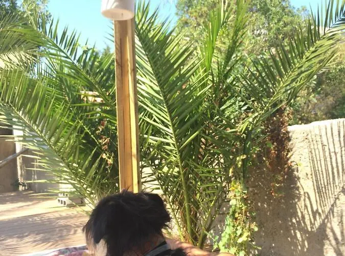 Bed and Breakfast Elemental *