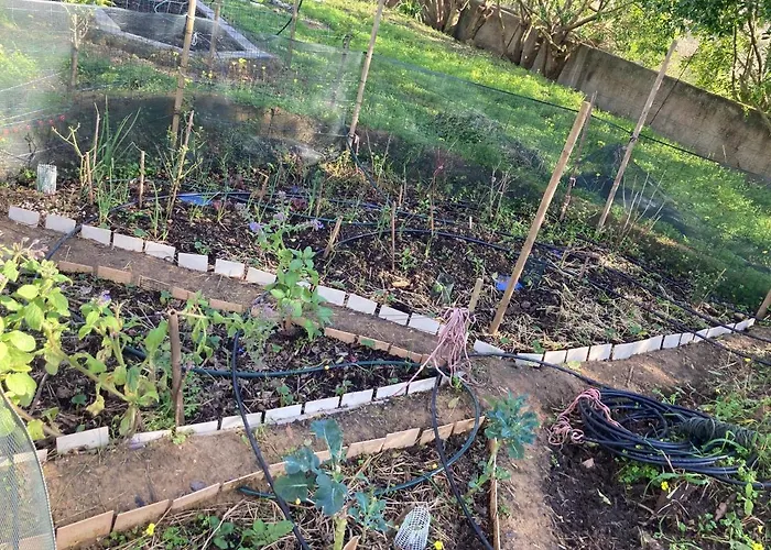 Elemental Bed and Breakfast *