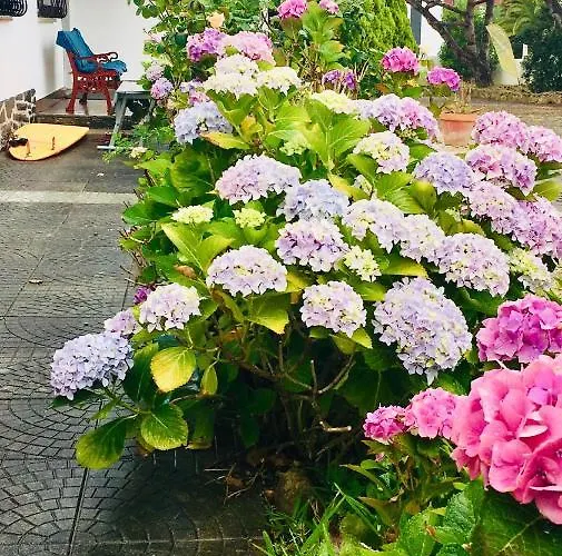 Elemental Bed and Breakfast *