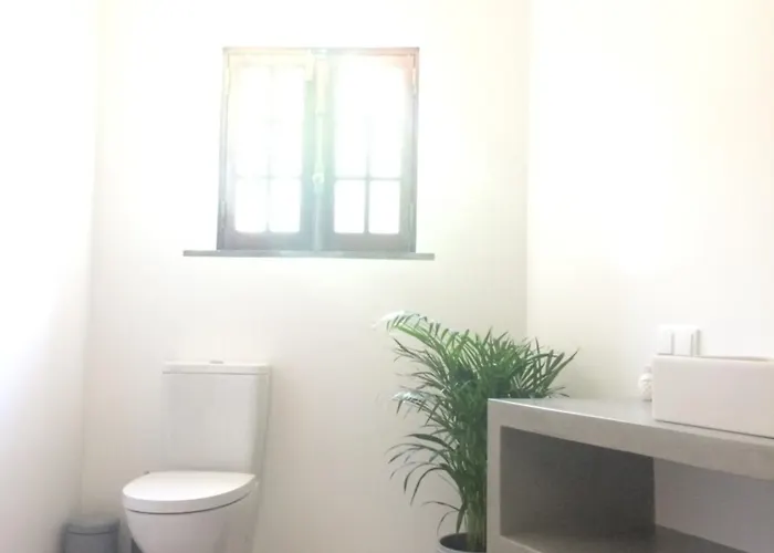 Elemental Bed and Breakfast